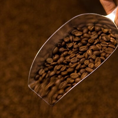 Probierpaket Kaffeereise - 5x 220g ganze Bohne